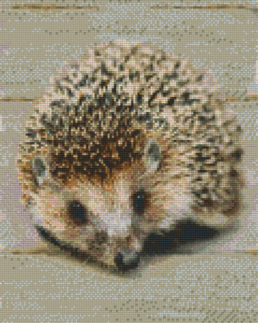 Hedgehog Nine [9] Baseplate PixelHobby Mini-mosaic Art Kit image 0